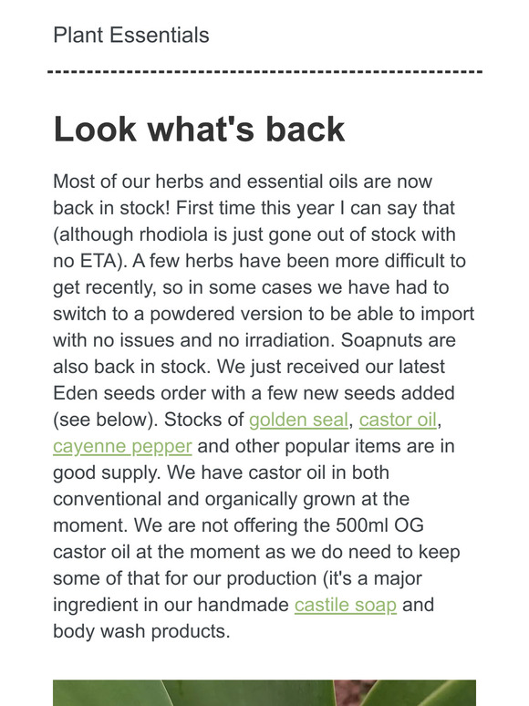 Plant Essentials - If you normally file our emails (I'm time poor too), please at least scan over this email before filing it