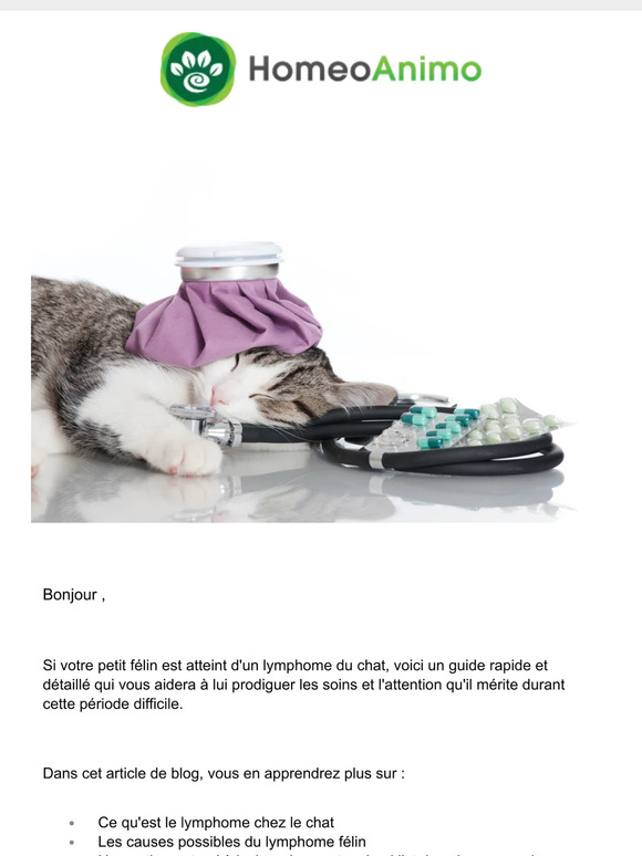 Homeoanimo Lymphome chez le chat ce qu