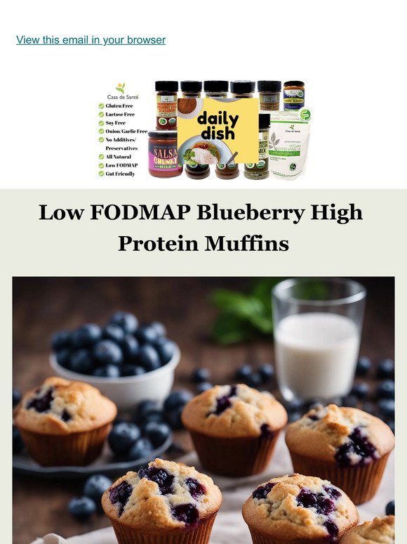 Low FODMAP Blueberry Protein Muffins, GF, DF