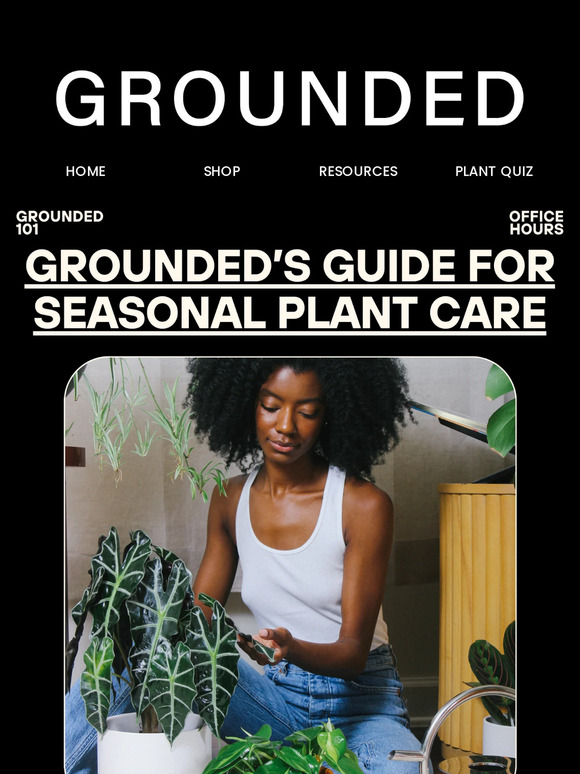 Grounded’s Guide for Seasonal Plant Care 💨