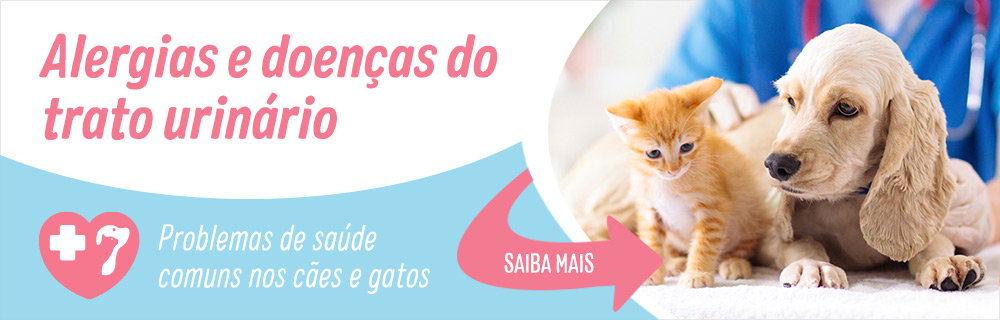 Problemas de saúde comuns nos cães e gatos