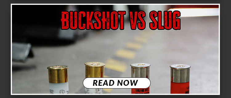 Buckshot vs Slug