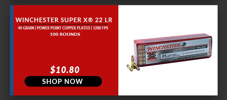 Winchester – SUPER X – 22 Long Rifle – 40 Grain – PPCP