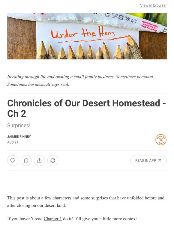 Chronicles of Our Desert Homestead - Ch 2