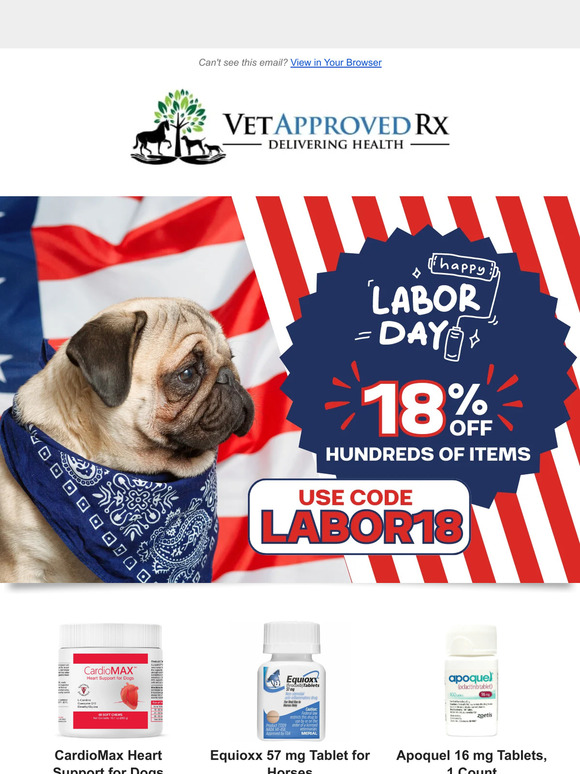 🐾 Paws Up For Our Labor Day Sale!