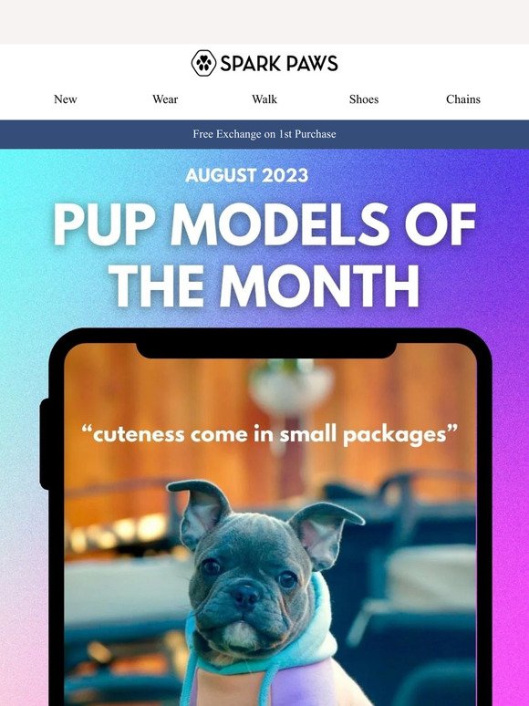 August's Top Pup Models Have Arrived!🔥