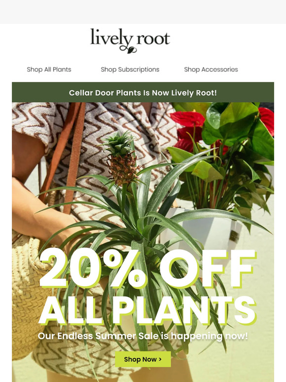 20% Off ALL Plants Starts Now! 😍🌿