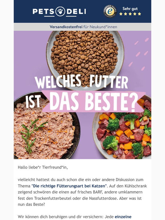 Streitthema Nr. 1 unter Katzenhalter*innen