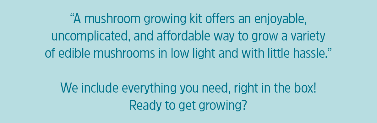 A MUSHROOM GROWING KIT OFFERS AN ENJOYABLE, UNCOMPLICATED, AND AFFORDABLE WAY TO GROW A VARIETY OF EDIBLE MUSHROOMS IN LOW LIGHT AND WITH LITTLE HASSLE. WE INCLUDE EVERYTHING YOU NEED, RIGHT IN THE BOX! READY TO GET GROWING?
