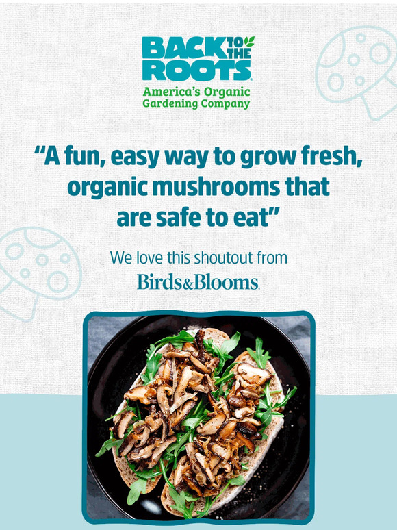 Have you tried our “Ridiculously Easy” Mushroom Grow Kits yet??