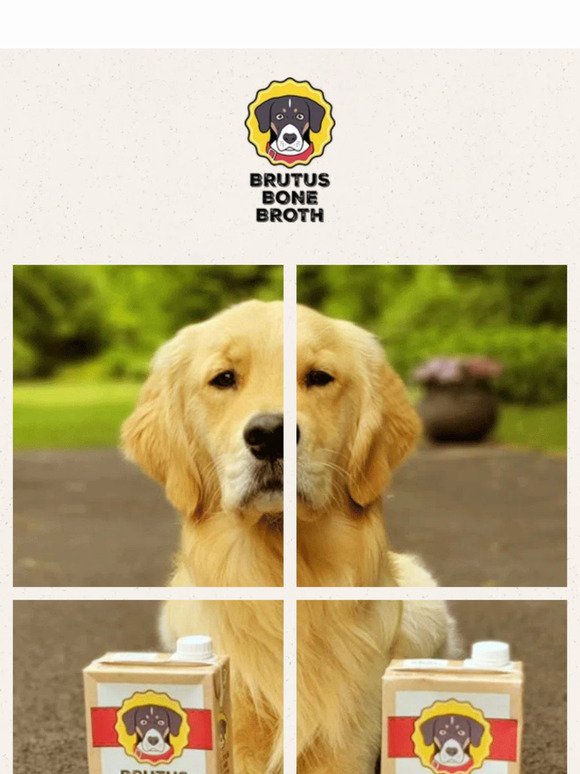 Brutus Broth's August Newsletter is Here 🐾