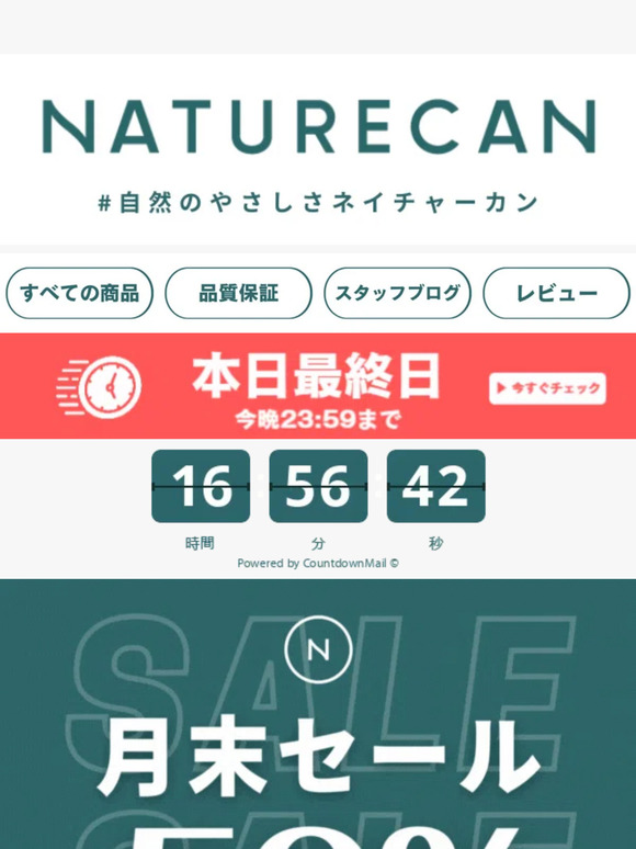 【本日最終日⏰】全商品最大50%OFFの月末セールは本日23:59まで！