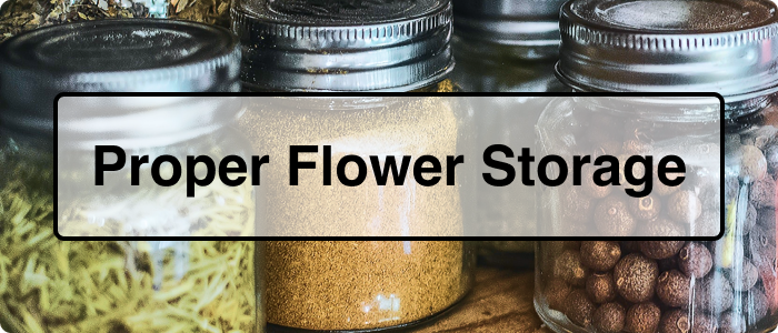 Flower Storage: Your Guide To Harvest Preservation - Hydrobuilder Learning  Center