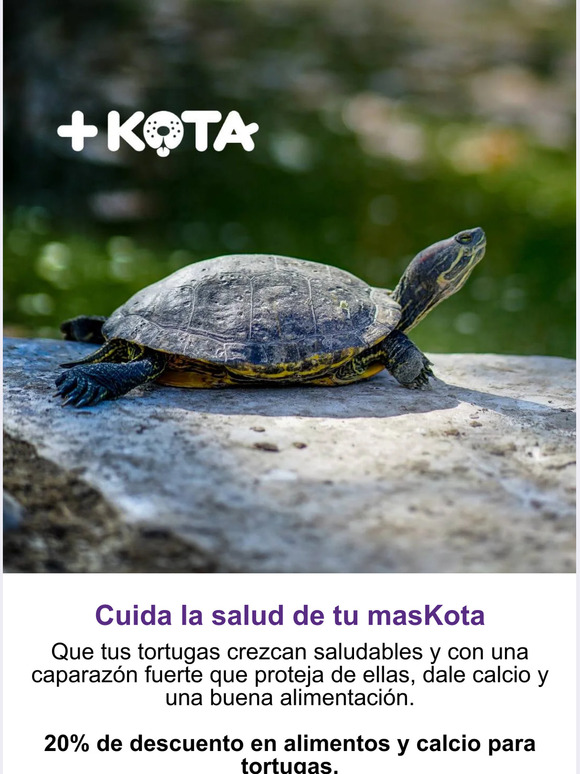 Cuida la salud de tu masKota🐢