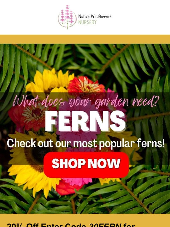 🍁SALE~Ferns For Fall