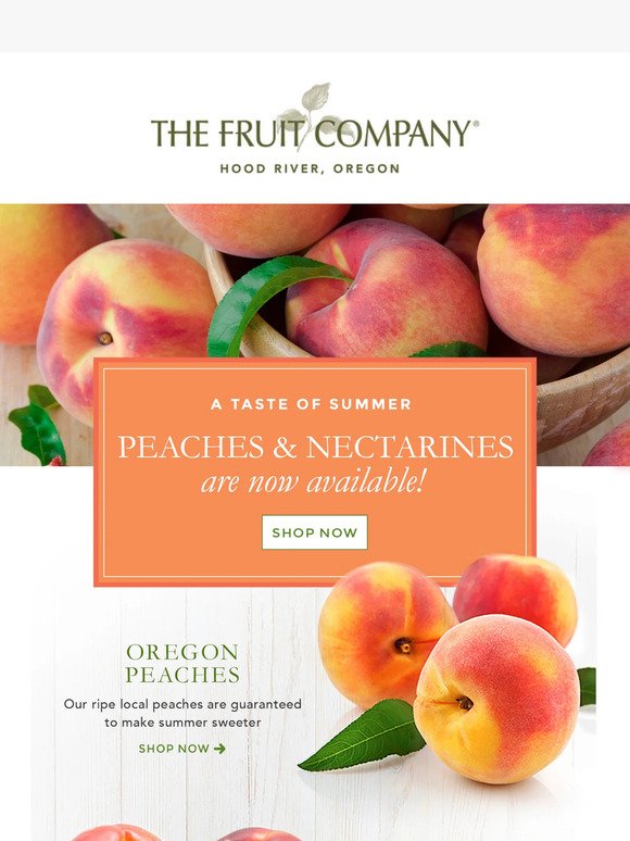 🍑 Peaches and Nectarines that are Beyond Delicious!