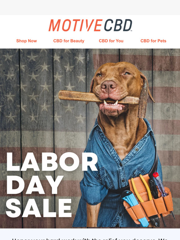Labor Day Sale STARTS TODAY!