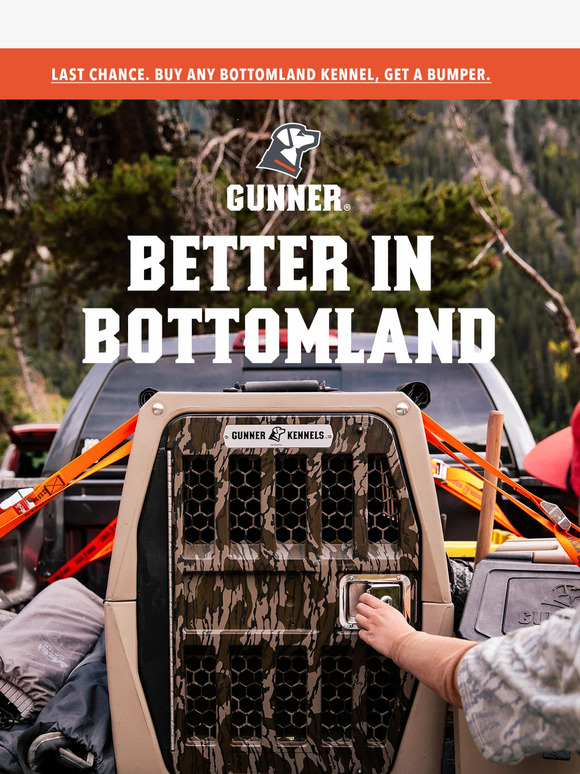 Get a Free Bumper