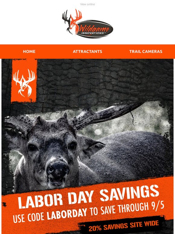 Check Out These Labor Day Savings