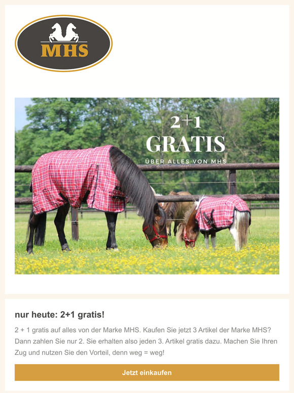 nur heute: 2+1 gratis! Gültig für alle MHS-Produkte