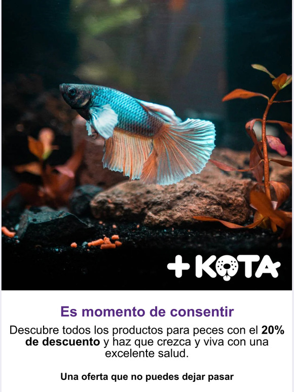 Es momento de consentir🐠