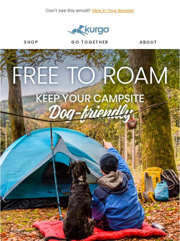 Dog-Friendly Camping