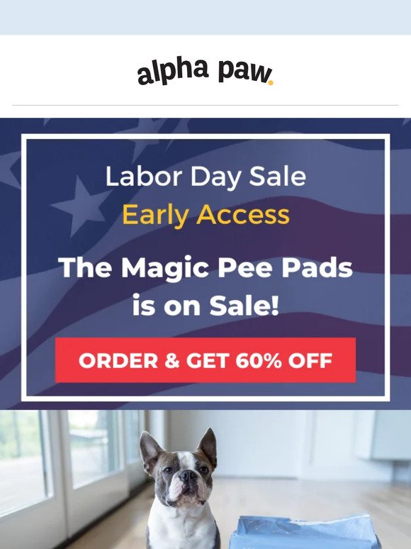 Labor Day Sale 🇺🇸: 60% OFF the Magic Pee Pads