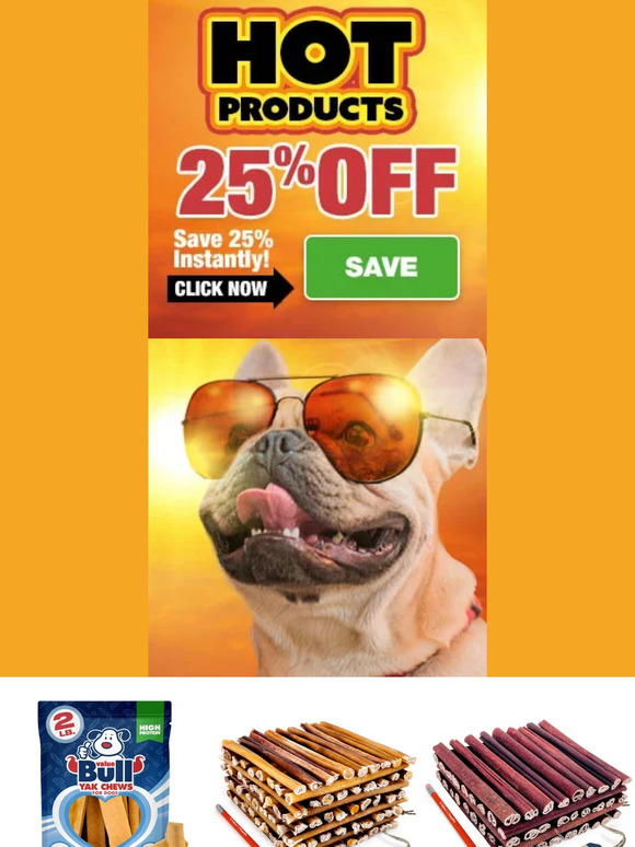 Hot Products for Cool Dogs 🌞 25% Off