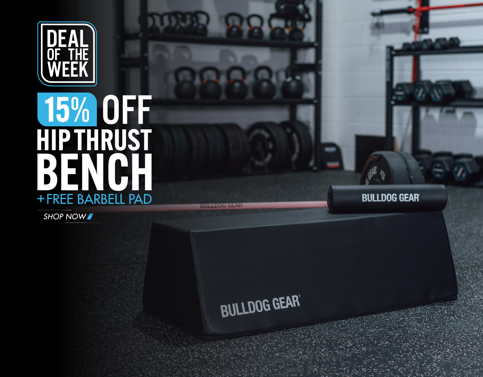 Bulldog 2024 gear bench