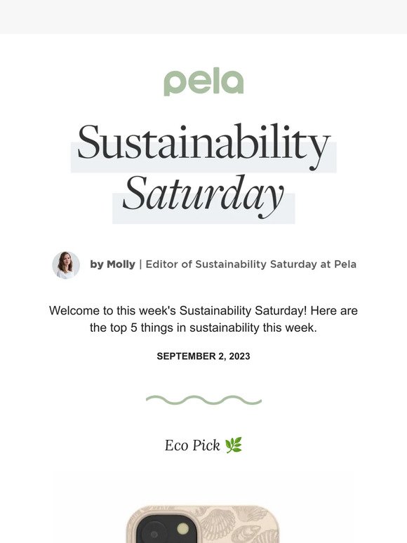 Sustainability Saturday | Support Wildfire Relief in Maui and Kelowna