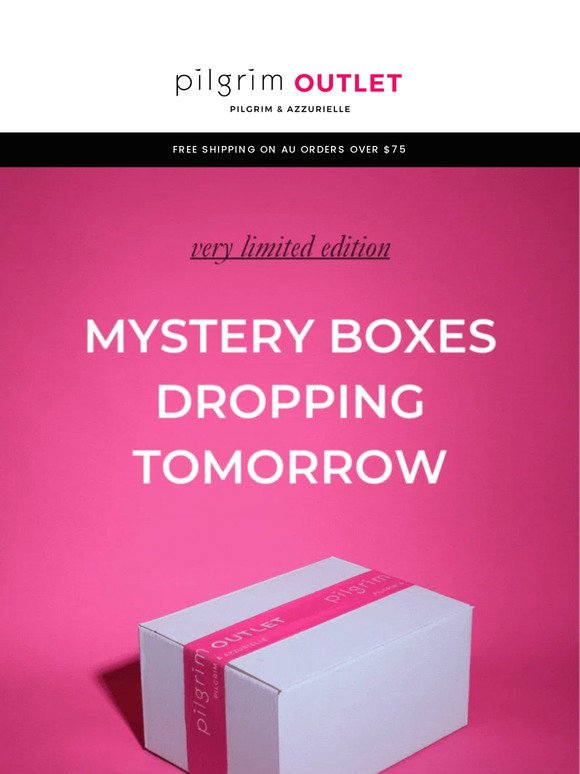 THEIR BACK — Outlet Mystery Boxes 📦