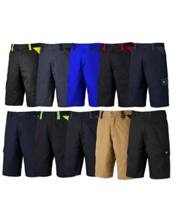 Dickies Everyday