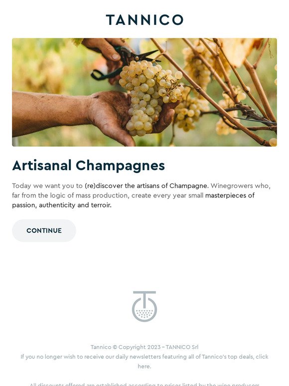 The craftsmen of the bubbles: Champagne new gen