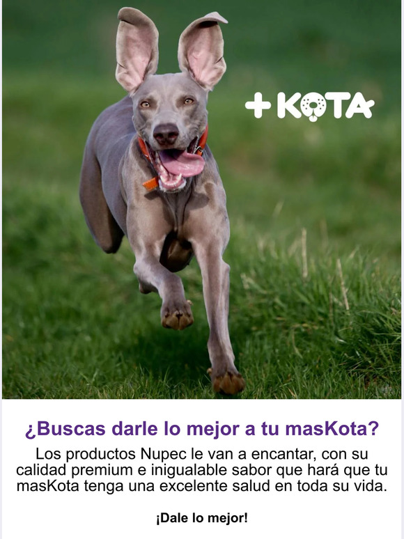 🐕¿Buscas darle lo mejor a tu masKota?🐈