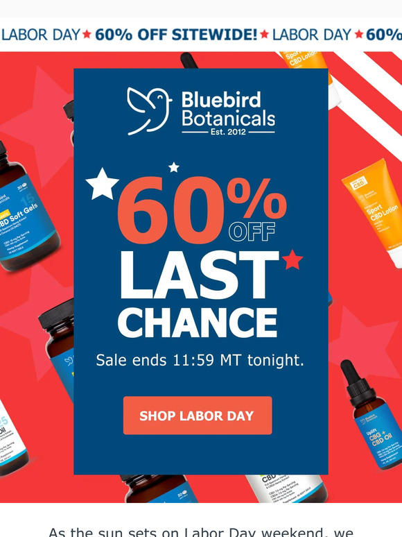 Final Chance: Labor Day 60% Off 🚨