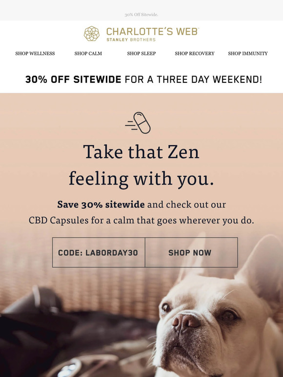 Take the feeling of Zen with you