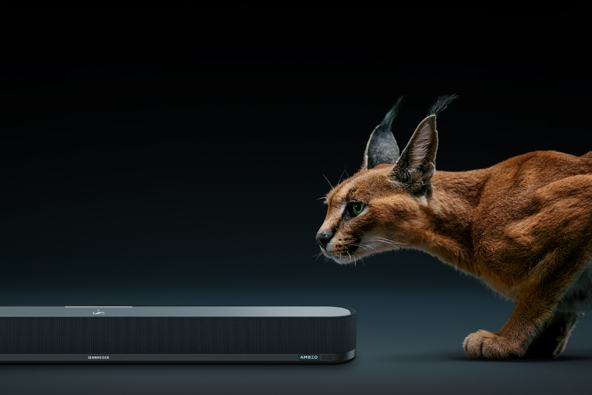 email_header_ambeosbmini-lynx