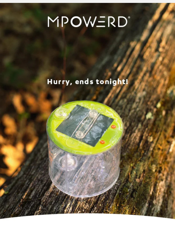 LAST CHANCE To Get 35% Off String Lights & More