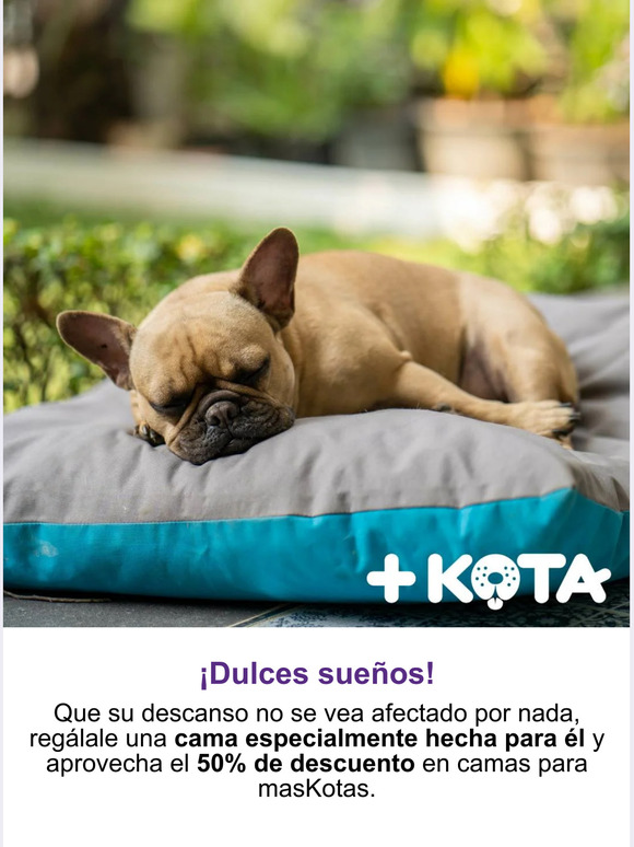 🐕¡Dulces sueños!😴