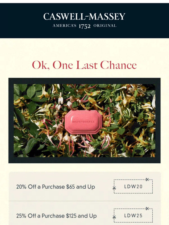 Final Chance: Up to 30% Off