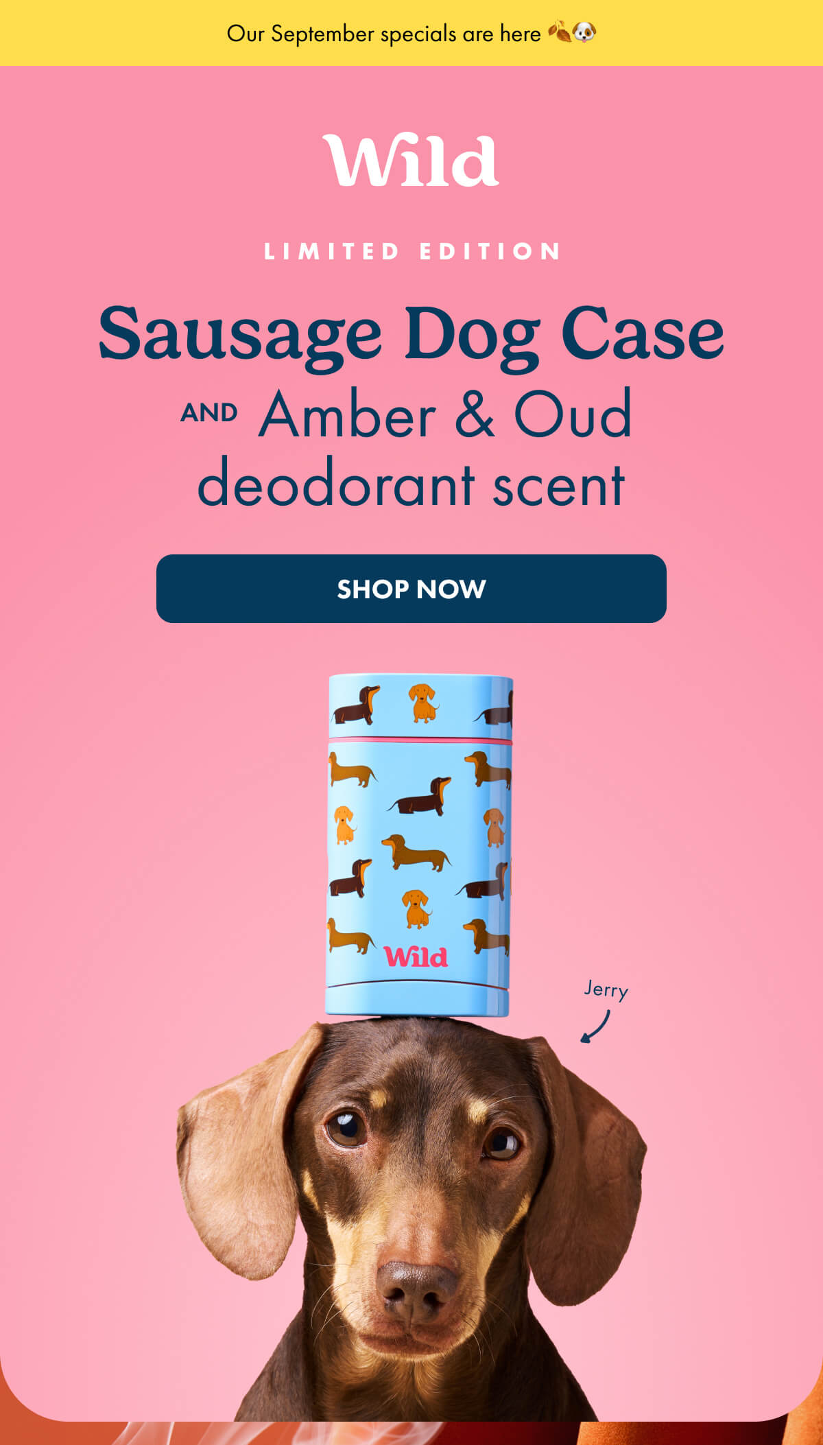 Limited edition sausage dog case and amber and oud deodorant scent. SHOP NOW