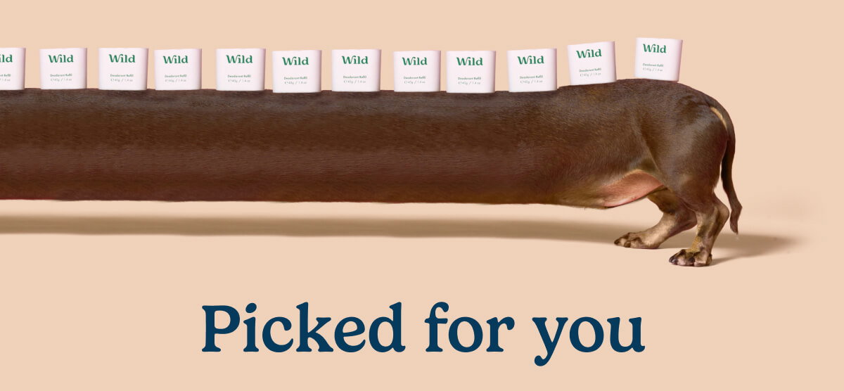Picked for you