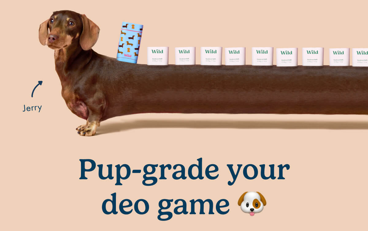 pup-grade your deo game
