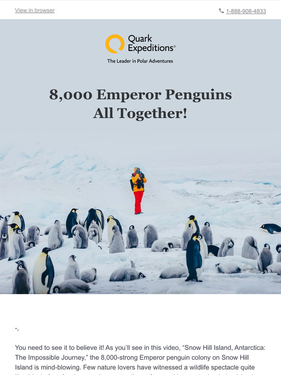 Quark Expeditions : What does a colony of 8,000 Emperor penguins look