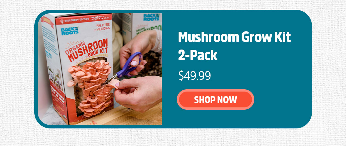 MUSHROOM GROW KIT 2-PACK