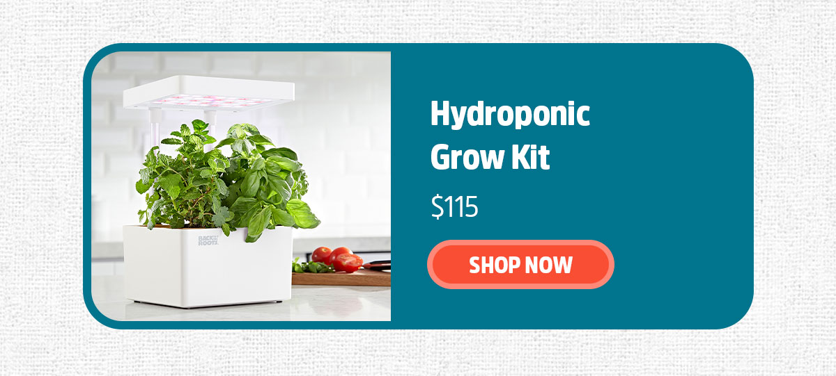 HYDROPONIC GROW KIT