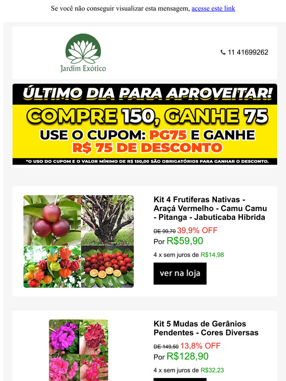 Viu meu último e-mail?