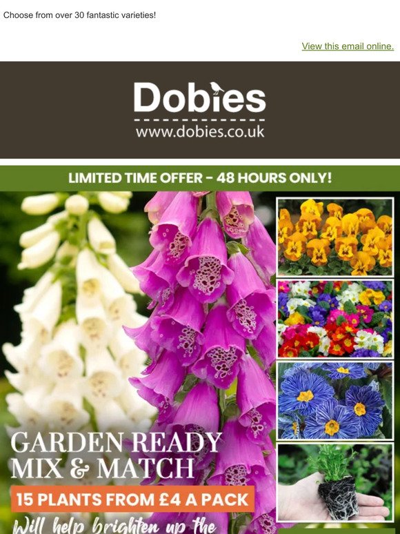 15 Garden Ready Plants from £4 A Pack! Mix & Match Special