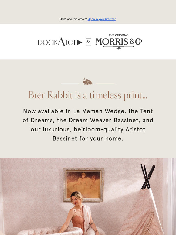 Brer Rabbit: A Best-Selling Print