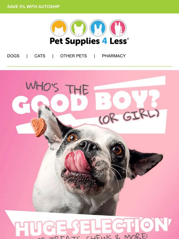 🐶 Who's the Good Boy (or Girl)?